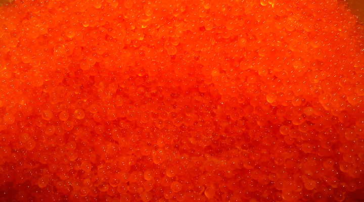 Caviar